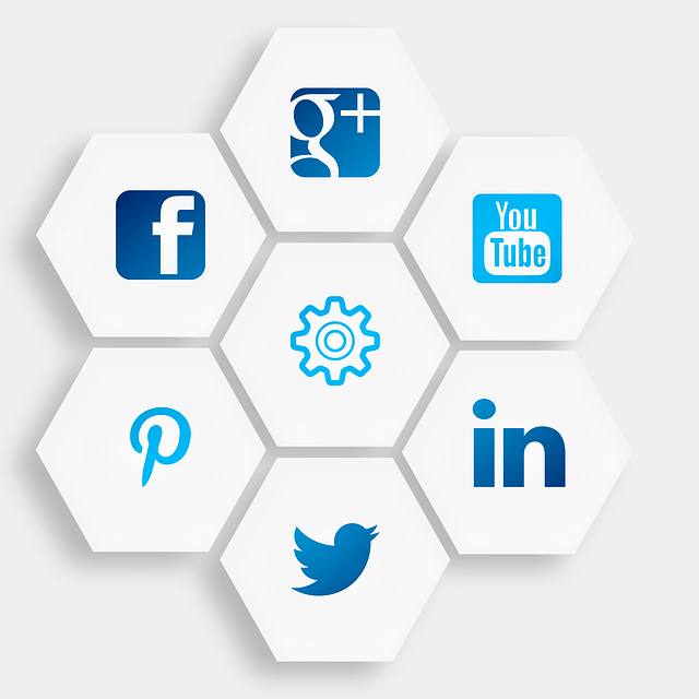 logos-reseaux-sociaux-nid-abeille Les réseaux à gérer comme community manager